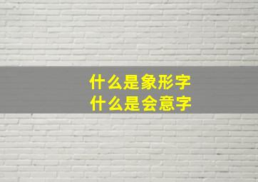 什么是象形字 什么是会意字